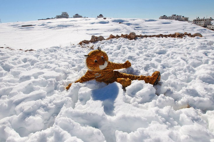 Dec. 16, 2013. A Palestinian clown dressed as a tiger plays in snow on a snow covered hill in the West Bank city of Nablus.
